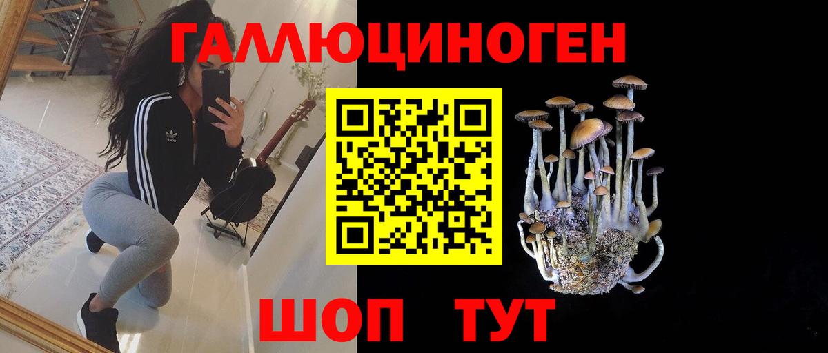 Моршанск  Псилоцибиновые грибы Psilocybe  Вход с VPN 